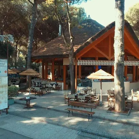 Charming Mare Pineta-mobile Home-4 Persons Vakantiehuis Lido di Spina